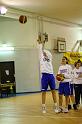 Basket 242002